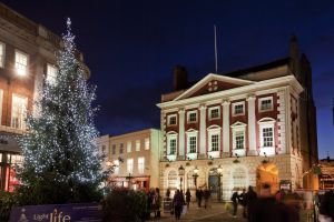 york christmas tree sm.jpg